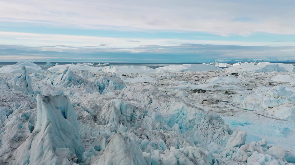 What's the Value of a Travel Agent?