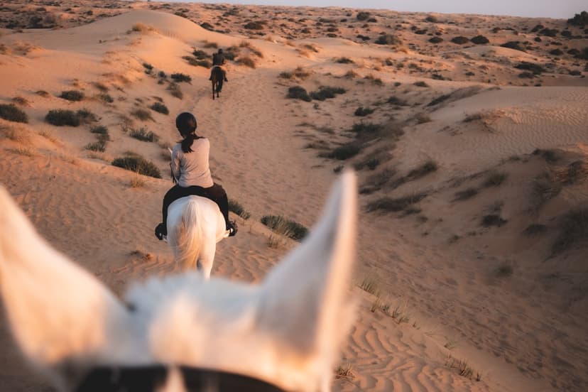 Horseback riding through desert dunes at golden hour